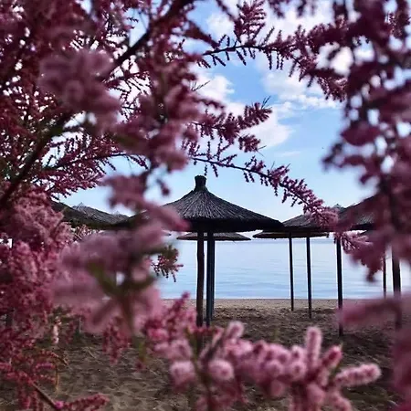 Hotel Nautilos Sozopoli