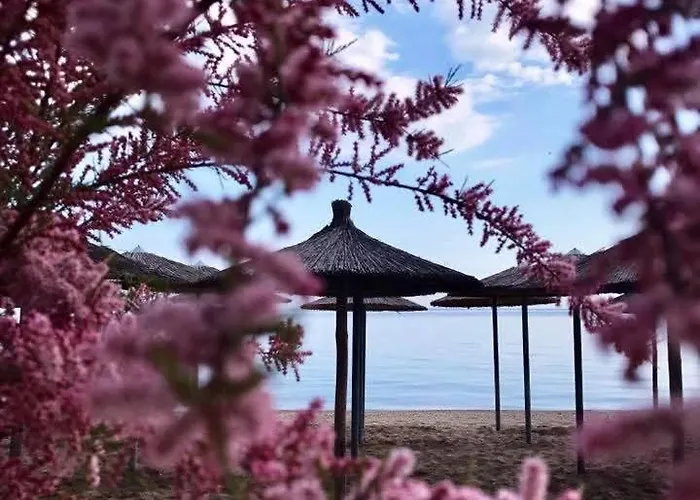 Hotel Nautilos Sozópolis